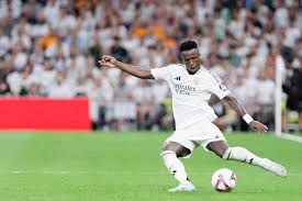 国内独领风 国内独领风